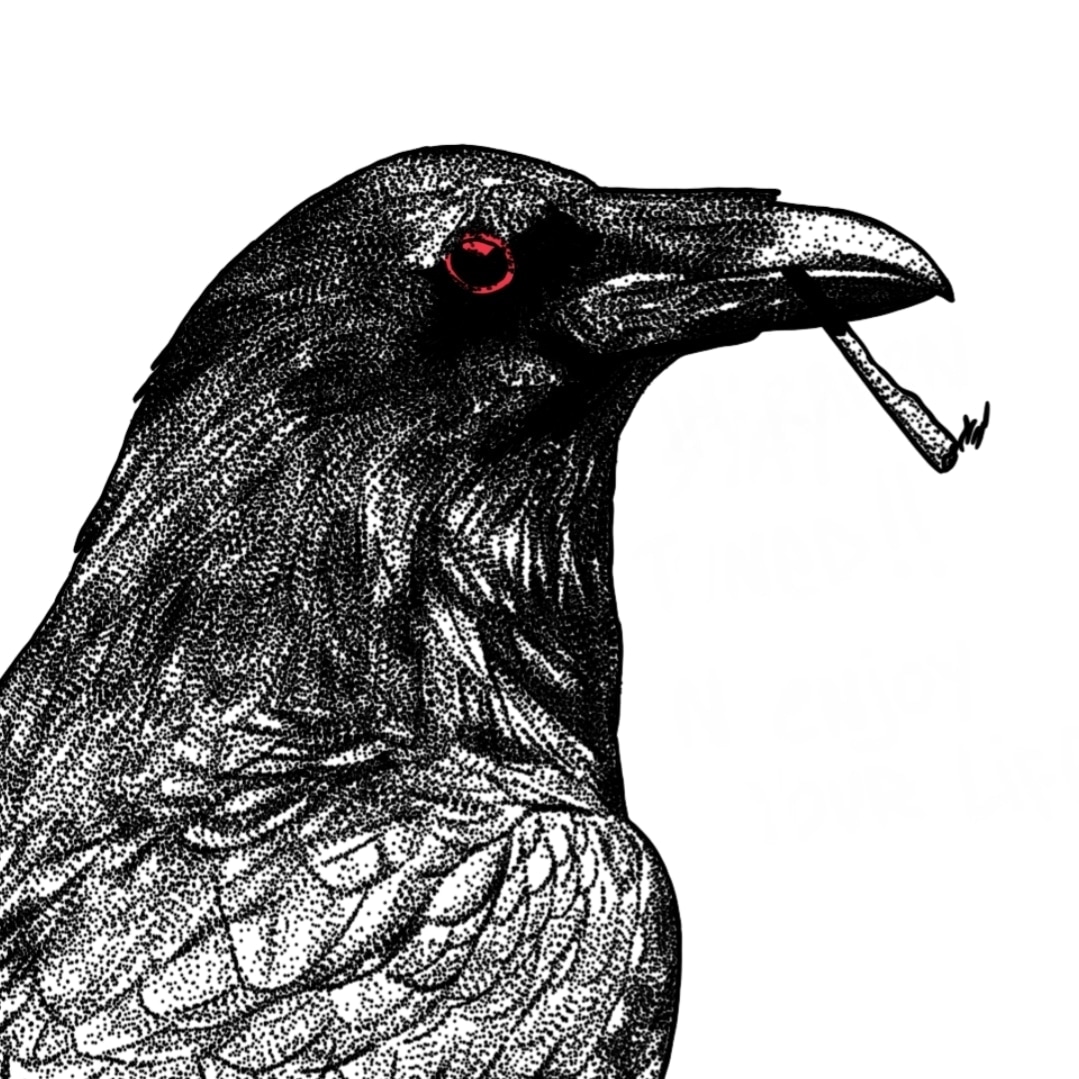 Raven series thumbnail thumbnail